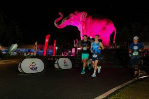 BIB: 
                            <button type="button" onclick="openModal(26542788)" class="btn btn-primary btn-sm float-right btn-popup" data-toggle="modal" data-target=".modal-high-quality">
                        <i class="fas fa-shopping-cart"></i> Add to Cart
                    </button>
                                            <button type="button" onclick="isThisMe(26542788, true)" class="btn btn-success btn-sm float-right btn-popup btn-isme hidden" data-toggle="tooltip" data-placement="bottom" title="นี่คือรูปของคุณใช่ไหม คลิกที่นี่เพื่อเอาเข้าอัลบั้ม">
                        <i class="fas fa-plus"></i> Add to album
                    </button>
                    <button type="button" onclick="isThisMe(26542788, false)" class="btn btn-warning btn-sm float-right btn-popup btn-isnotme hidden">
                        <i class="fas fa-ban"></i> Remove from album
                    </button>